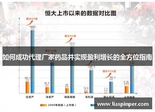 如何成功代理厂家药品并实现盈利增长的全方位指南