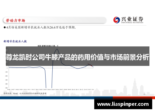 尊龙凯时公司牛膝产品的药用价值与市场前景分析