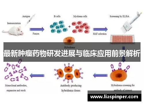 最新肿瘤药物研发进展与临床应用前景解析